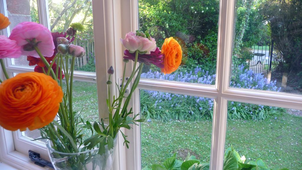 Lockgate Dairy Bed & Breakfast Chichester Exterior foto